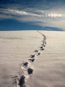 Lisa Ryan footprints in the snow