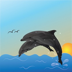 Lisa Ryan Grategy dolphins